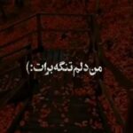 دانلود آهنگ من دلم تنگه برات هرجا رفتم نپرید از هایده (هوش مصنوعی)